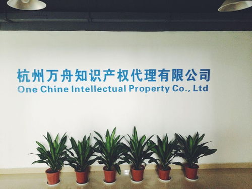 杭州万舟知识产权代理 专业商务代理代办服务的领航者
